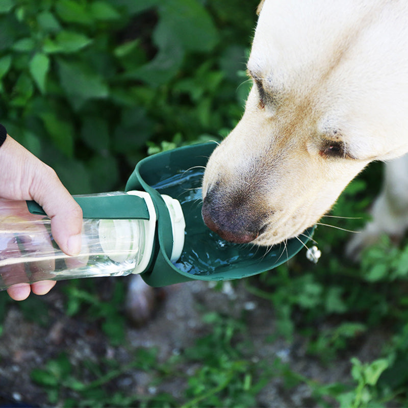 Wasser- und Futternapf für Haustiere im Freien