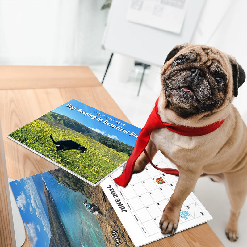 Kalender 2024: Hunde kacken an schönen Orten